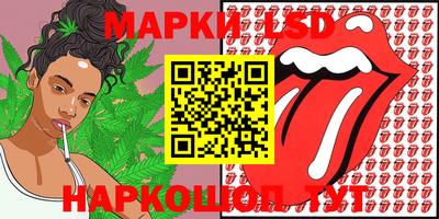 дмт Ставрополь