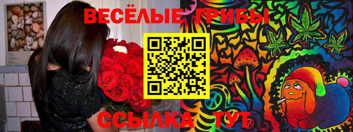 даркнет сайт  Псилоцибиновые грибы Magic Shrooms  Вход с VPN  Унеча 