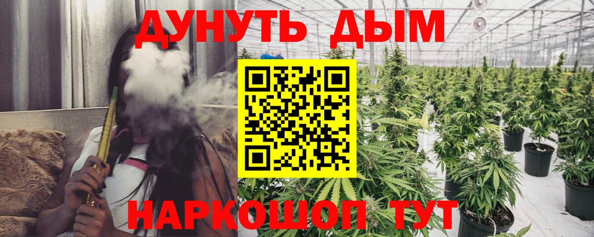 Бошки марихуана White Widow  Шишки марихуана сатива  Каннабис тримм  Вход с VPN  Унеча  Бошки марихуана сатива 